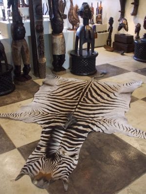 Zebra Hides (Grade A)