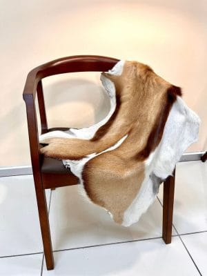 Genuine Springbuck hide rug with natural tan and white tones